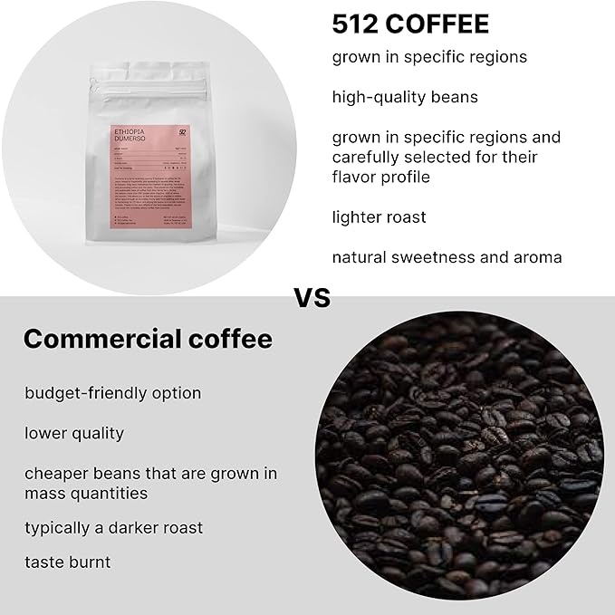 512 COFFEE | Light Roast Coffee Whole Bean - QGS 87.75 | Specialty Fresh Roasted Single Origin Ethiopian Sidamo Coffee | Natural Flavored Notes of Blueberry Chocolate Juicy
