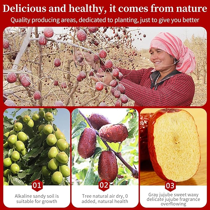 Baihuatang Chinese Jujube Dates 500g (1.1LB) dried red date High Grade Dried Red Dates Fruit Jujubes Healthy Dried Fruit Superfood Snack No Preservatives Vegan Kosher Sweet Crispy Small Core 红枣 大枣