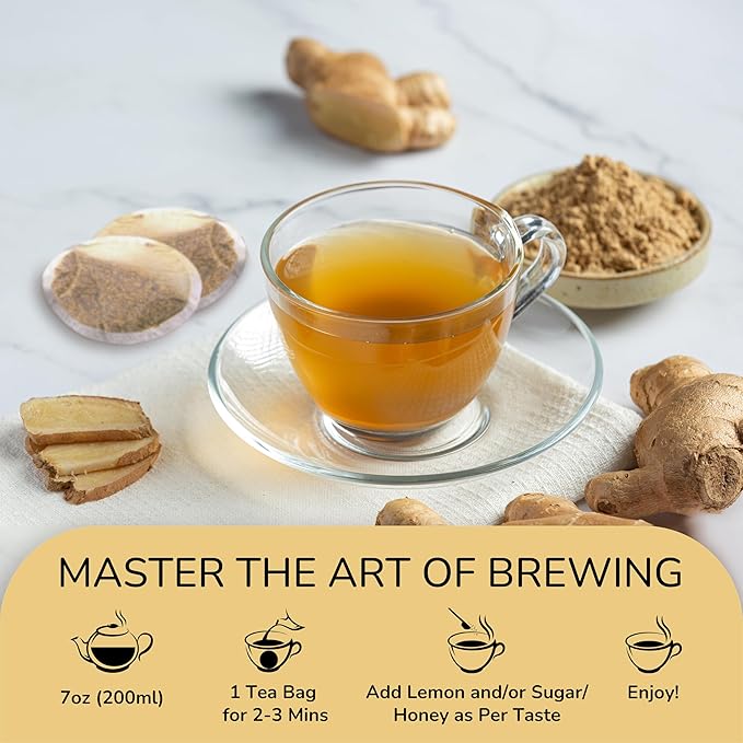 BREWIX Ginger Tea Bags (120 Tea Bag) Caffeine Free &amp 100% Pure Ginger Root | Naturally Supports Healthy Digestion | Spicy &amp Warming | Premium Eco Conscious Bags