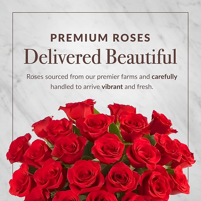 Shari’s Berries 24 Classic Red Roses &amp 12 Chocolate Covered Strawberries Gift Set | Chocolate &amp Fresh Flower Gift Box | Valentine's Day Anniversary Celebrations &amp Thank You’s