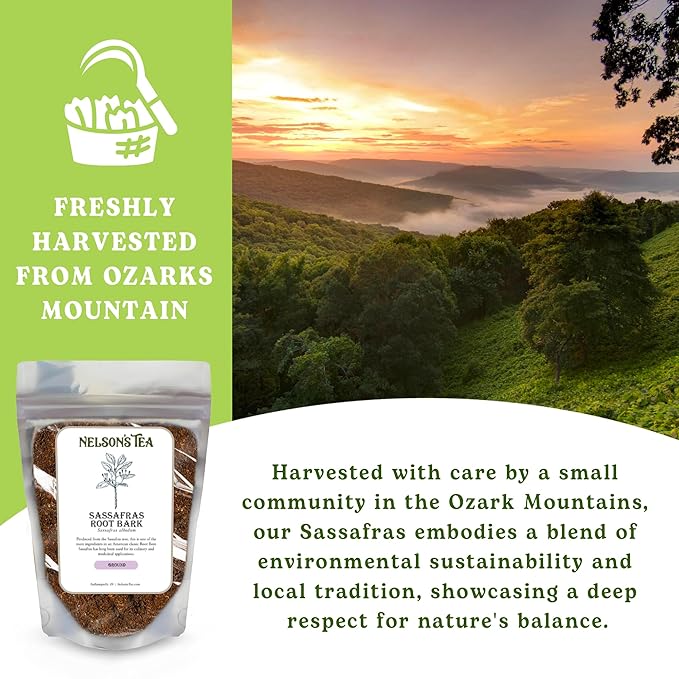 Nelson’s Tea - Sassafras Root Bark Ground - Caffeine Free - Aromatic Sassafras Albidum - Freshly Packed in a Resealable Bag for Lasting Freshness (1oz)