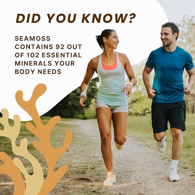 Raw Wildcrafted Gold Sea Moss 1 lb St. Lucia Sun-Dried Seamoss Natural Ocean Harvested Whole Moss | Makes 240+oz gel