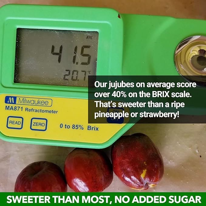 JUJUME | USDA Organic California Grown Jujubes Red Dates | Individually Sorted 3X for QA | High Grade Superfood | Healthy Dried Fruit | Certified All-Natural Non-GMO | 10-pack 6 oz. bags