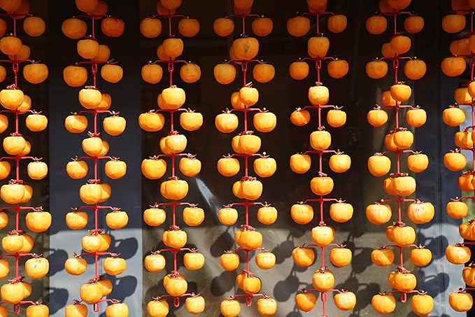 Sun Dried Persimmons Organic Japanese Hand Massaged Hoshigaki 1 lb