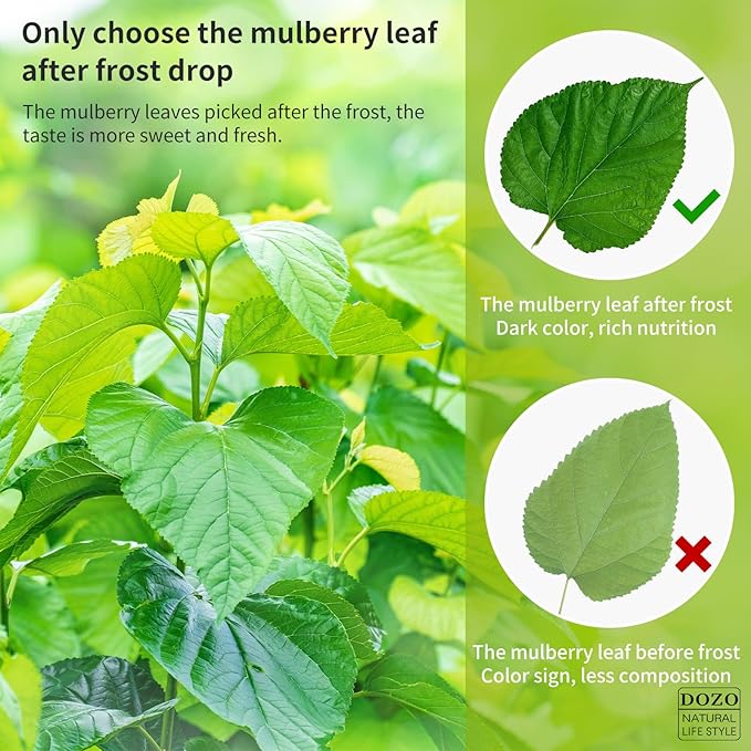 DOZO Natural Mulberry Leaf Tea Mulberry Leaves Tea 14.1oz/400g Sun-Dried Premium Mulberries Loose Leaves Sang Ye Healthy Herbal Tea Sugar Free Caffeine Free No Additives 桑叶茶 桑葉茶