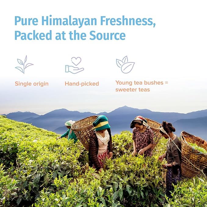 Nepal Tea Organic Loose Leaf Tea Sampler | Includes a Variety of 14 Delicious &amp Unique Loose Teas