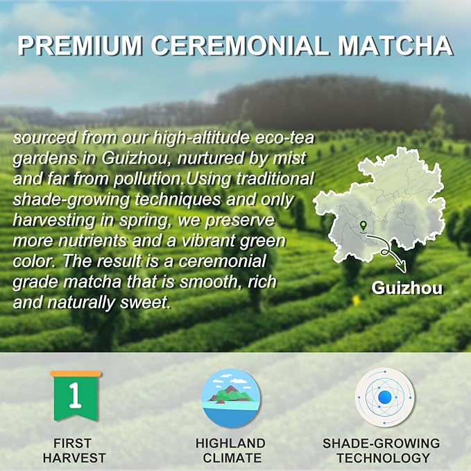 Letstay Matcha Matcha Powder Ceremonial Grade Highland Matcha Tea Organic Matcha Green Tea - Premium 1st Harvest - Zero Sugar Halal Certified &amp SGS Certified &amp FSSC 22000 30g (1.06oz) Tin