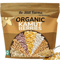 Be Still Farms Organic Kamut Wheat Berries Khorasan (4.8lb) - Ancient Whole Grain Bulk - Ideal for Flour Pasta Salads Soups - High in Fiber &amp Protein | USA Grown | USDA Certified | Vegan | Non-