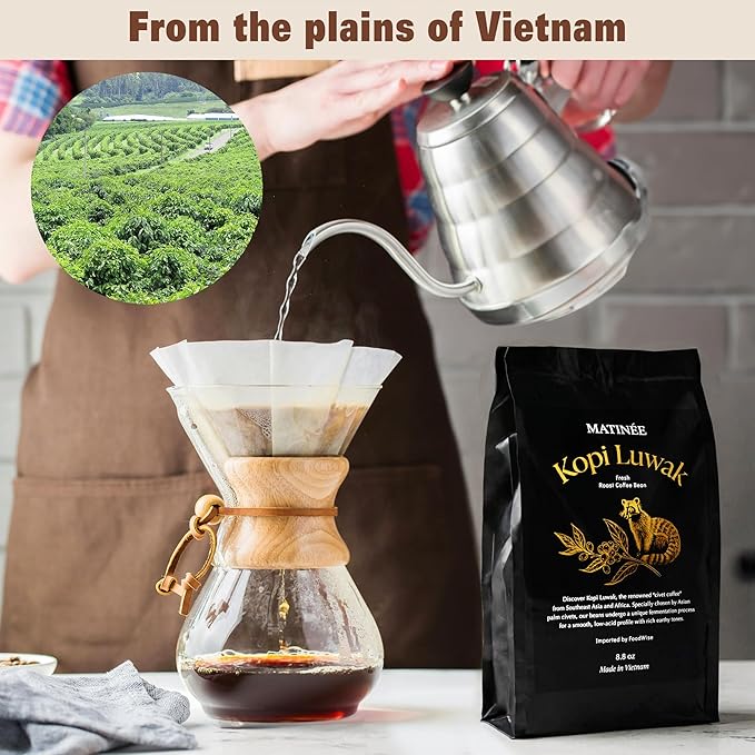 MATINÉE Wild Kopi Luwak Coffee Beans Medium Roast Whole Bean Beans Civet Coffee - Sustainably Sourced From Vietnam 8.8oz / 250 Grams