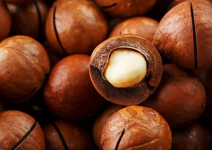 Food to Live Dry Roasted Macadamia Nuts with Himalayan Salt 1 Pound – Oven Roasted Whole Nuts Lightly Salted No Oil Added Vegan Snack Keto Kosher Bulk. High in Protein. Great for Baking