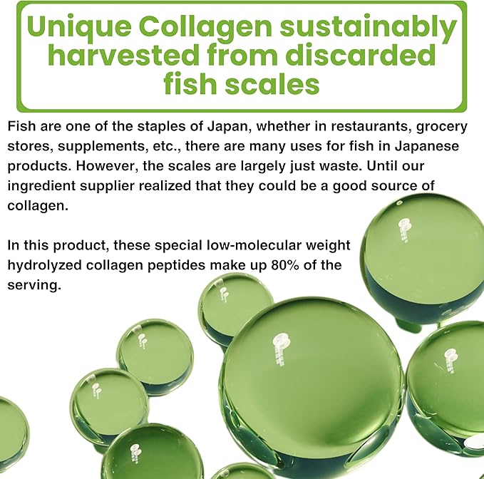 Premium Matcha Collagen Latte | Made in Japan with Special Hydrolyzed Marine Collagen and Authentic Japanese Matcha | No Artificial Sweeteners
