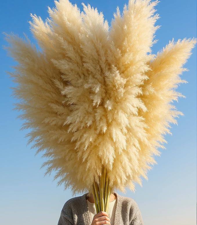 10 PCS 40 Tall Pampas Grass Stems in Natural Beige Add a Boho Touch to Your Space—Pompas Grass Ideal for Floral Arrangements Floor Vases Weddings and Creating a Bohemian Ambiance at Home.