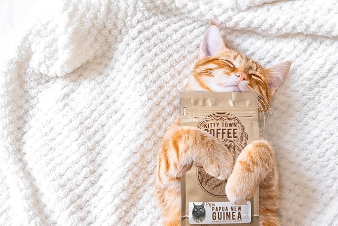 Kitty Town Coffee: Pip's Papua New Guinea Medium Roast Coffee From Colombia 2lb (32oz) Whole Bean