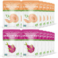 Nature's Turn Freeze-Dried Fruit Snacks Cantaloupe and Dragon Fruit Crisps Pack of 24 (0.53 oz Each)