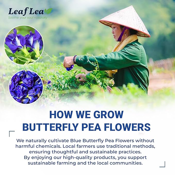 LeafLea 80 Butterfly Pea Flower Tea Bags Natural Herbal Tea for Blue and Purple Drinks Mocktails and Food Coloring Caffeine-Free Sugar-Free Non-GMO Pack of 2