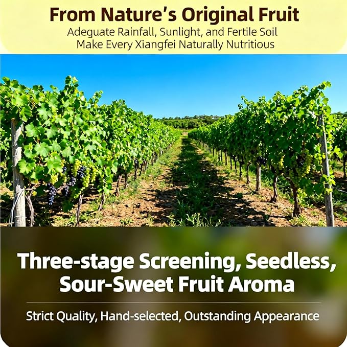 Three Color Seedless Dried Grapes Snack - Soft &amp Sweet No Washing Needed Ready To Eat For Baking Oatmeal Yogurt Bulk Pack