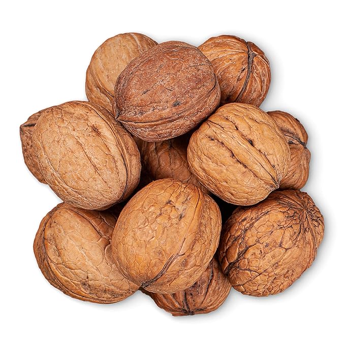 Food to Live Jumbo Walnuts in Shell 10 Pounds — California Chandler Variety. Rich in Omega-3s and Antioxidants. Keto-Friendly Fresh Raw Kosher