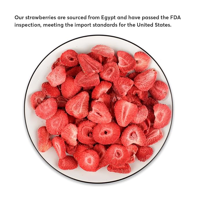 ONETANG Freeze-Dried Fruit Strawberry 10 Pack Single-Serve Pack Non GMO Kosher No Add Sugar Gluten free Vegan Holiday Day Gifts Healthy Snack 0.35 Ounce