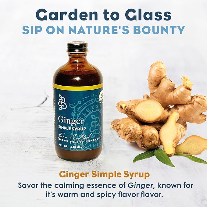 Bluestem Botanicals Organic Ginger Simple Syrup 8 oz Cocktail and Mocktail Mixer for Drinks Non-Alcoholic