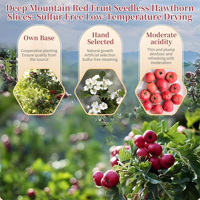 Hee Creek Premium Dried Hawthorn Berries 14.11oz/400g Natural Hawthorn Berry Tea No Sugar No Artificial Color Awaken the Taste Buds 无核山楂 山楂片 山楂干