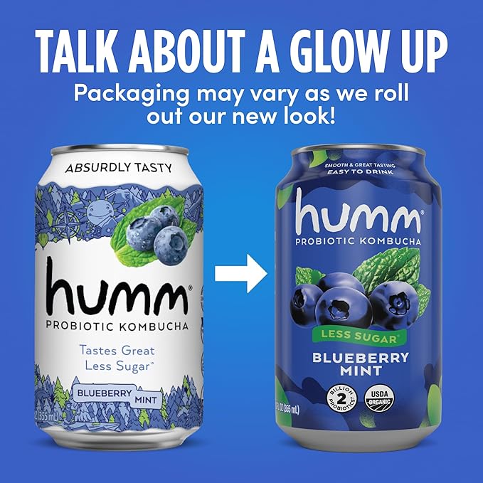 Humm Kombucha Blueberry Mint Organic Vegan &amp GMO Free (24 Pack)