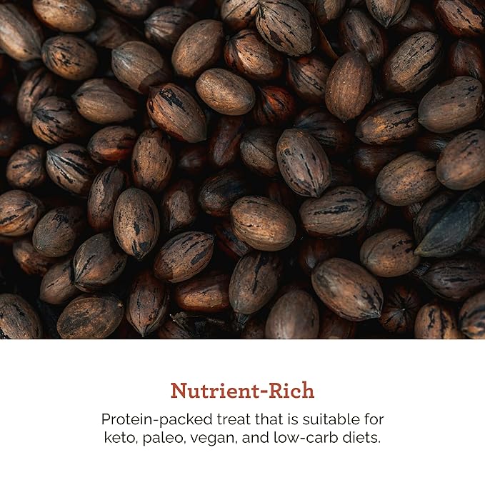 HUDSON PECAN: Georgia Grown Pecans Classic In-Shell. Family-Owned Premium Southern Unshelled Nuts. Slightly Sweet Flavor (Gluten-Free Kosher Keto Snack Salad Topping or Baking Ingredient) 5lb Ba