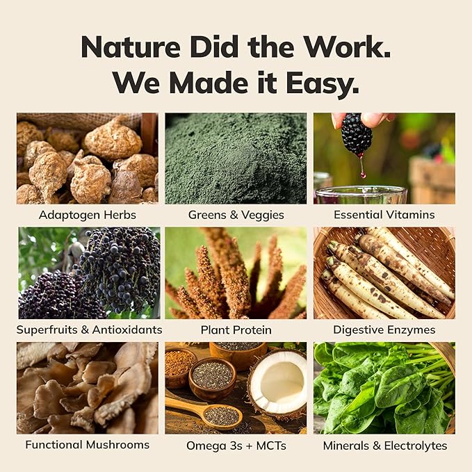 Ka’Chava Whole Body Meal Shake Matcha 2 lb – Vegan Protein Powder with 85+ Superfoods &amp Greens – Plant-Based Meal Replacement with Probiotics &amp Digestive Enzymes – Gluten &amp Dairy Free (15