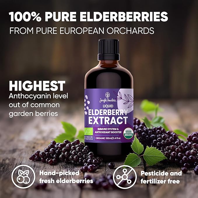 Jungle Powders Freeze Dried Strawberry Slices 3.2 Ounce Bag + Organic Blueberries Fresh Freeze Dried + Organic Elderberry Syrup USDA Certified 3.4 fl oz Bottle