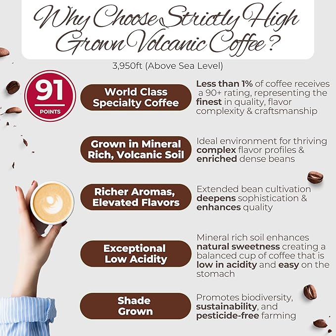 Santa Lucia Coffee - Specialty Nicaraguan Coffee Variety Pack - Light Medium &amp Dark Roast - Low Acid 91 Point SHG Small Batch Roasted 100% Single-Origin Whole Bean 3 Bags (16oz Each)