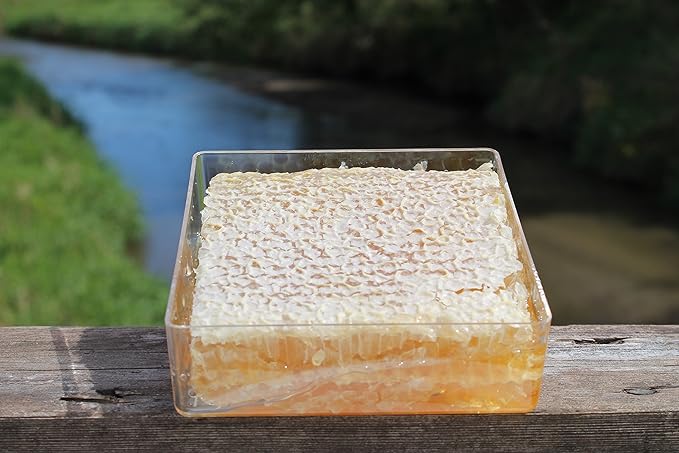 Raw Comb Honey Pure Natural Nebraska Honey (16 oz) Cut Comb