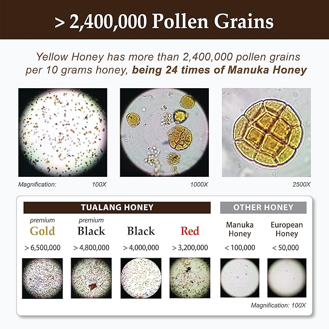 Tualang Yellow Honey 10oz (TA 9.5+ Pollen Count 2.4M+ Pollen Variety 100+) Mild Choice for Kids Growth Wild-ripening on 250ft Treetop Raw Unpasteurised Unfiltered