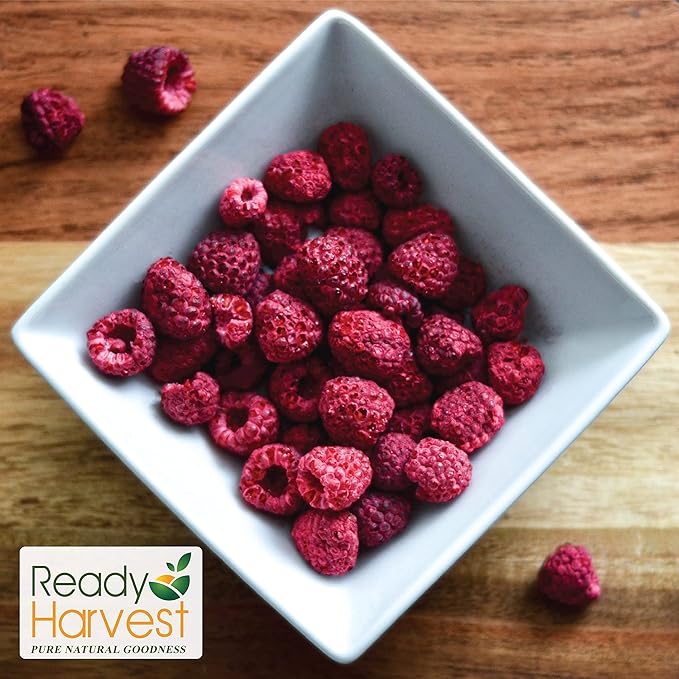 Ready Harvest Freeze Dried Food - Raspberries | Emergency Snacks | Long-Term Storage | #10 Can | 30-Year Shelf Life | Cans Filled to the Top