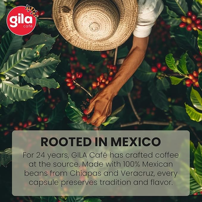 gila café Ground Coffee Medium Roast Nube de Aroma 32oz (1-Pack) - 100% Mexican Arabica Bean Coffee Grounds - Made with Coffeeberry - Chocolate Red Berries Hazelnuts Notes