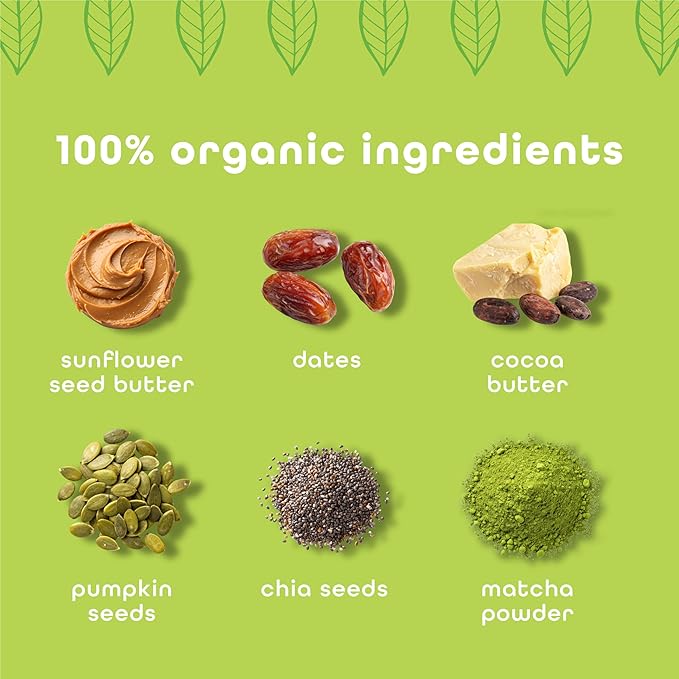 Feel Vegan Protein Bars Energize 65mg Caffeine 15g Plant Protein Organic Snack Low Sugar Low Carb Gluten Free Dairy Nut Grain Soy Free Matcha Latte 10 Pack