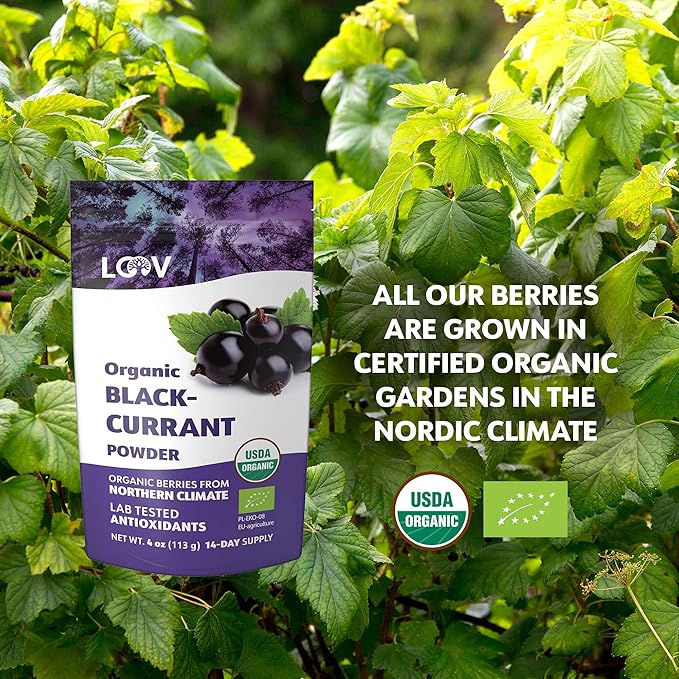 Organic Black Currant Powder – Pure 100% Natural Whole Fruit Freeze-Dried &amp Powdered – Non-GMO No Added Sugar – Rich in Polyphenols &amp Vitamin C – 4oz (15 Servings)