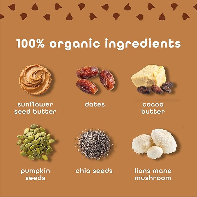 Feel Vegan Protein Bars Focus Lion’s Mane Dairy Nut Grain Soy Free 15g Plant Protein Adaptogenic Snack Organic Low Sugar Low Carb Gluten Free Brownie Chocolate Chip 10 Pack