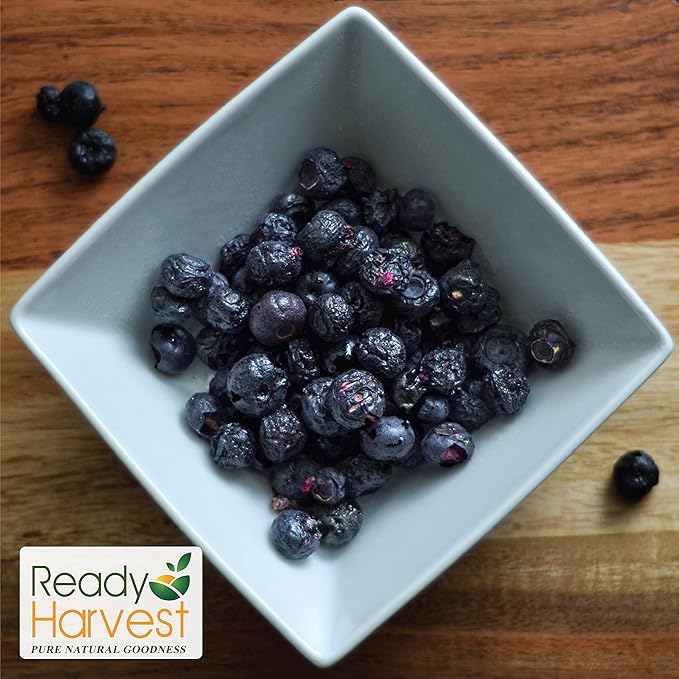 Ready Harvest Freeze-dried Blueberries Fruit Healthy Snacks Trail Mix Camping food School Snacks or Emergency Food Supply 30 Years | #10 Can