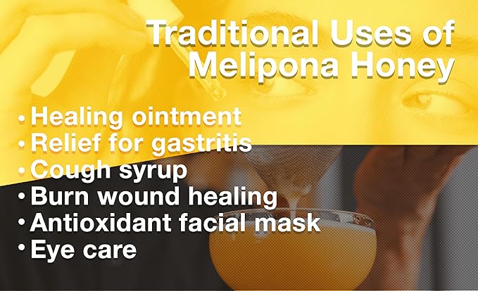 Pure Raw Melipona Honey – 20ml Dropper | Stingless Bee Honey from Nahua &amp Totonac Communities | Unfiltered Natural Limited Harvest