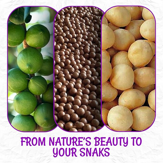Oh! Nuts Macadamia Nuts - 3 lb - Dry Roasted Unsalted Macadamia Nuts - Oven Roasted - No Oil - Packed in New York Zip-Seal Bag for Exceptional Freshness