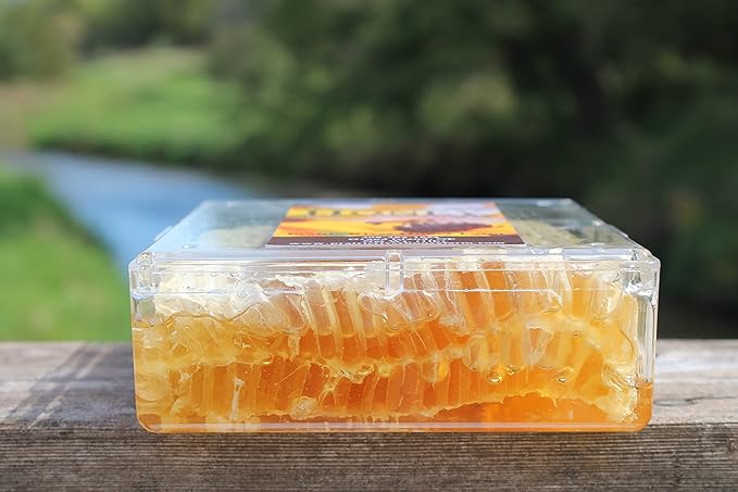 Raw Comb Honey Pure Natural Nebraska Honey (16 oz) Cut Comb