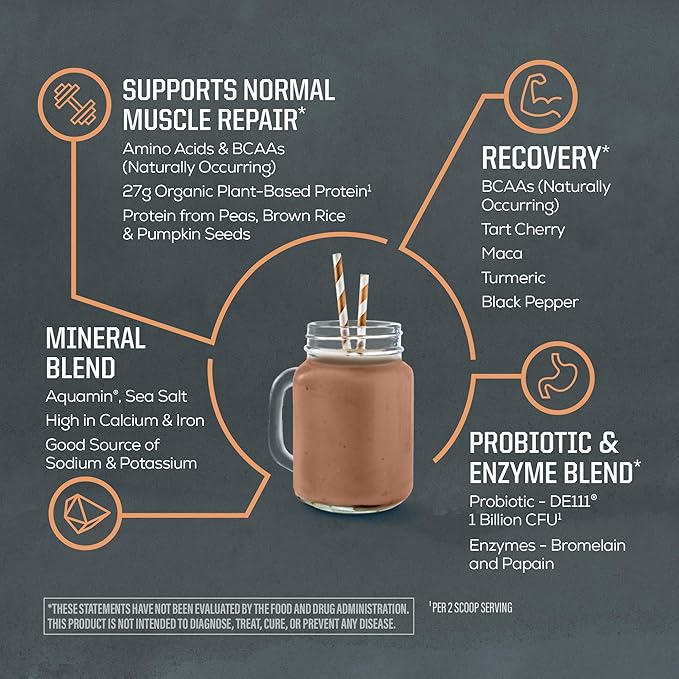 Sunwarrior Organic Plant Based Protein Powder | Vegan Organic Protein Powder with BCAAs Plus Recovery Minerals &amp Botanicals | Non-GMO Soy Dairy &amp Gluten Free (Chocolate Peanut Butter 20 Servi
