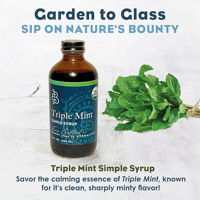 Bluestem Botanicals Organic Triple Mint Simple Syrup 8 oz Cocktail and Mocktail Mixer for Drinks Non-Alcoholic Peppermint Spearmint Chocolate Mint