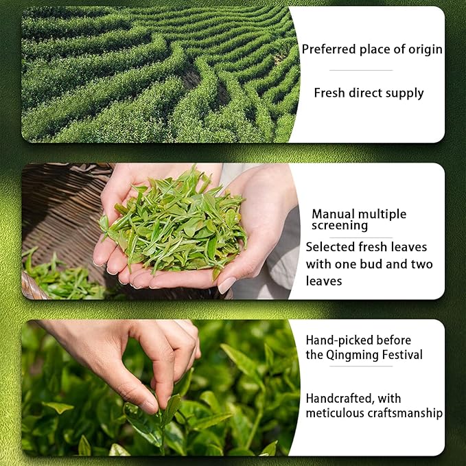 Longjing Tea Dragon Well Chinese Green Tea Loose Leaf Dragonwell Chinese Tea Long Jing龙井茶 绿茶 明前龙井 茶叶 4.23oz/120g
