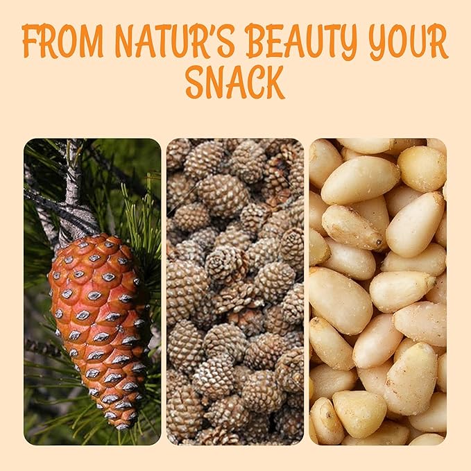Oh! Nuts Pine Nuts - Raw - 100% Natural - 2 lb - Pignoli Packed with Protein - Packed in New York Zip-Seal Bag for Exceptional Freshness