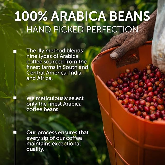 illy Whole Bean Coffee Classico Medium &amp Intenso Dark Roasts 100% Arabica Premium Italian Coffee Ideal for Espresso Drip Moka and French Press Brewing 8.8oz 6 Variety Pack