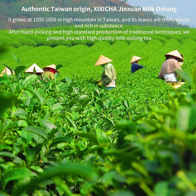 XIXICHA Milk Oolong Tea Loose Leaf Jin Xuan Milk Oolong Taiwan High Mountain Tea Authentic Taiwanese tea No additives Natural Creamy Aroma Taste（120 cups） 5.3oz/150g 台湾高山茶叶 奶香乌龙茶