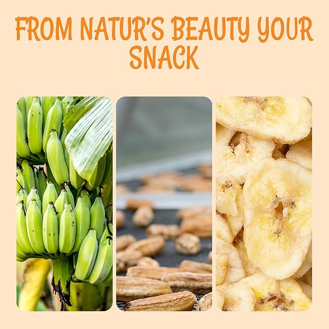 Oh! Nuts Dried Banana Chips - 3 lb - Dried Fruit Slices - Light Sugar Added - Dehydrated Fruit Bites - Packed in New York Zip-Seal Bag for Exceptional Freshness