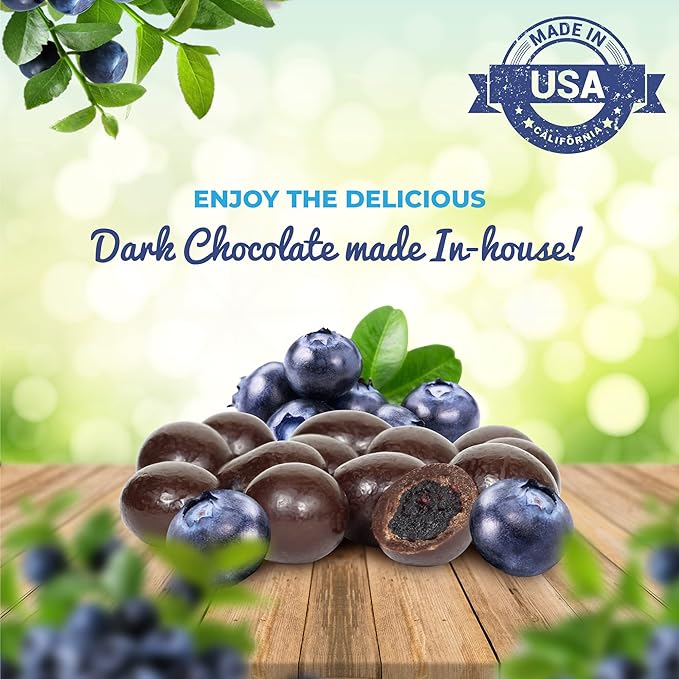 Gourmet Dark Chocolate Blueberries by It’s Delish 3 LBS Bulk | Dark Chocolate Covered Fruit with Real Dried Blueberries | Kosher and Vegan Snack