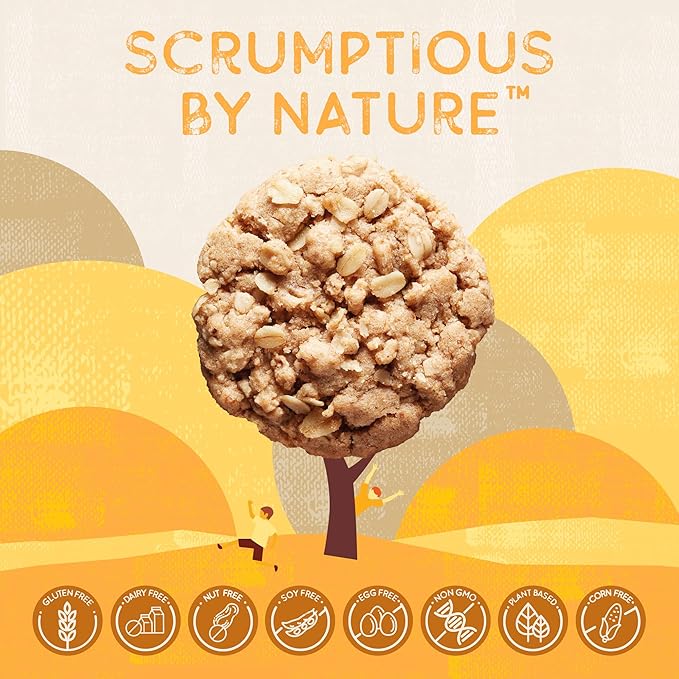 Autumn Sons Baking Co. Gluten Free Oatmeal Cinnamon Cookie Mix. Vegan Plant Based Baking Mix. Top 9 Allergen Free. Dairy Free Nut Free Soy Free Non GMO. 9.3 oz (Pack of 3)