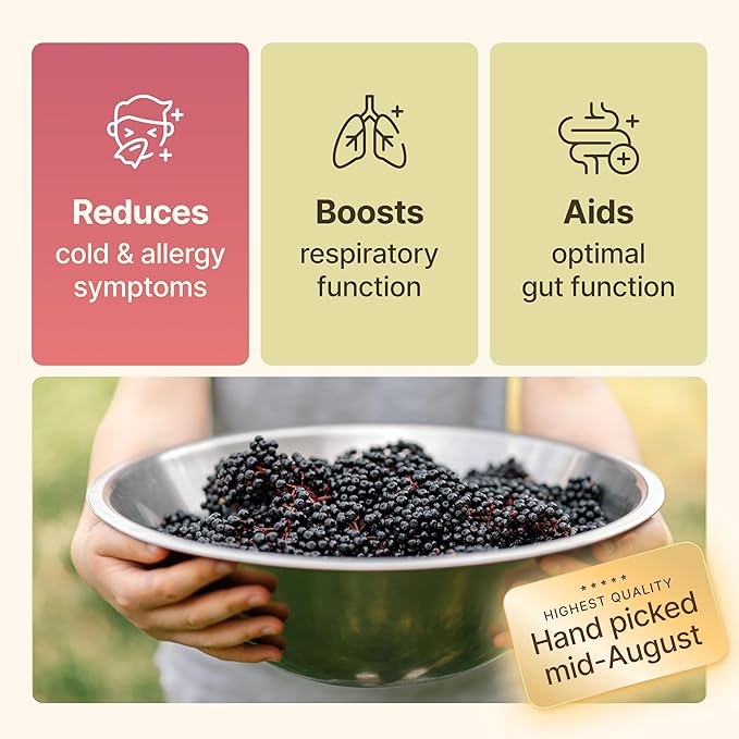 Dried Elderberries - 1lb Bulk - Hand-Sorted Wildcrafted Natural Non-GMO Whole European Immune System Support for Black Elderberry Syrup Gummies Jelly Tea Wine Raw Sambucus One Pound